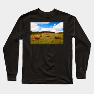 Cows of Mabou Long Sleeve T-Shirt